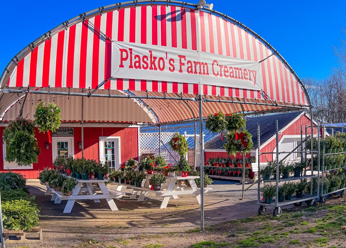 Plasko's Farm Creamery & Cafe in Trumbull, CT