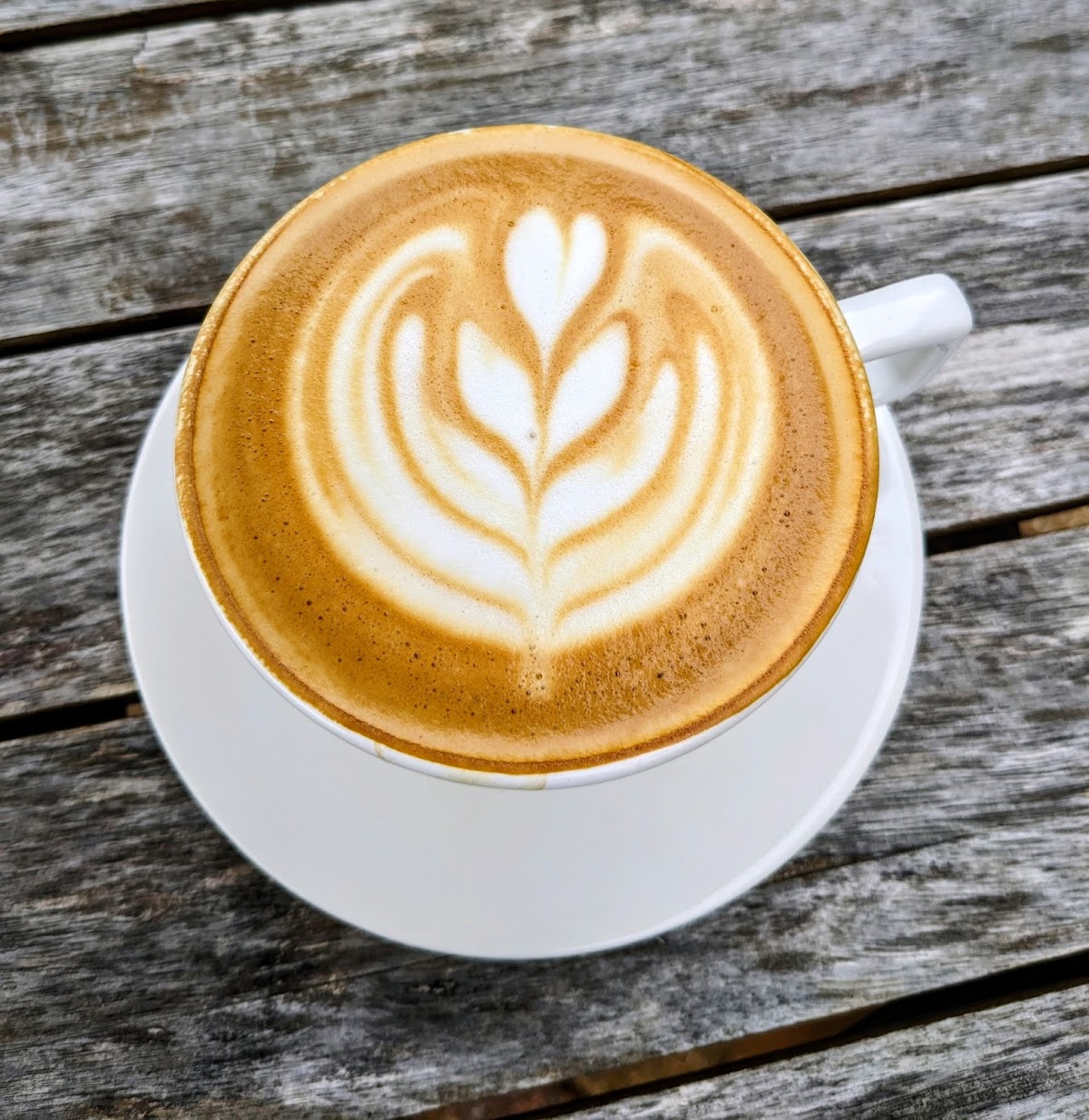 Rêve Coffee Lab River Ranch photo from Google
