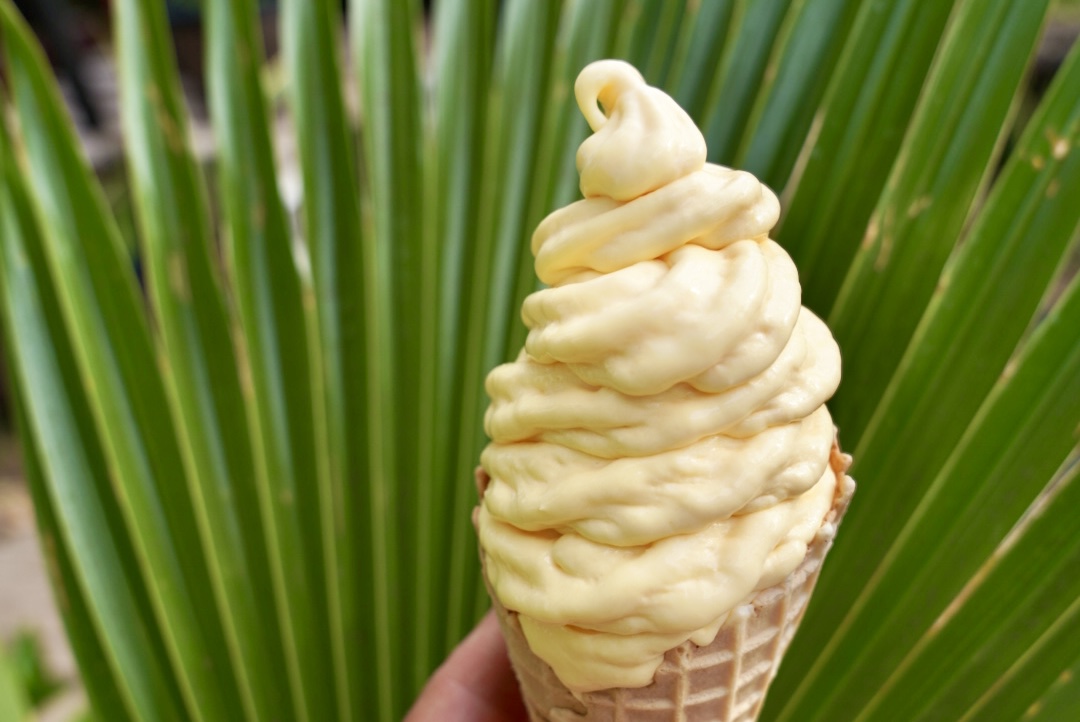 Reef's Real Fruit Ice Cream photo from Google