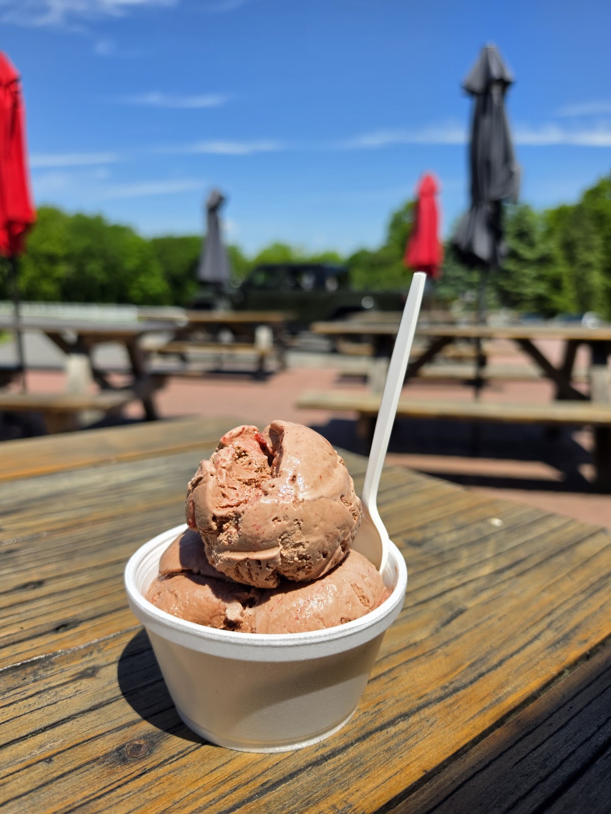 Rich Farm Ice Cream Shop photo from Google