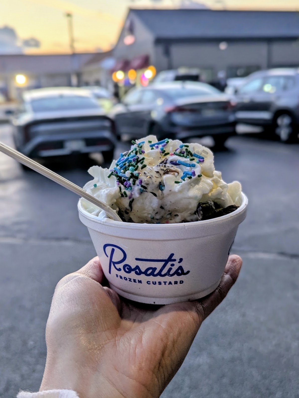 Rosati's Frozen Custard photo from Google