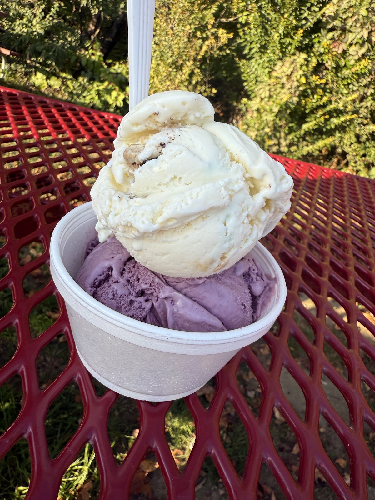 Rota Spring Ice Cream photo from Google