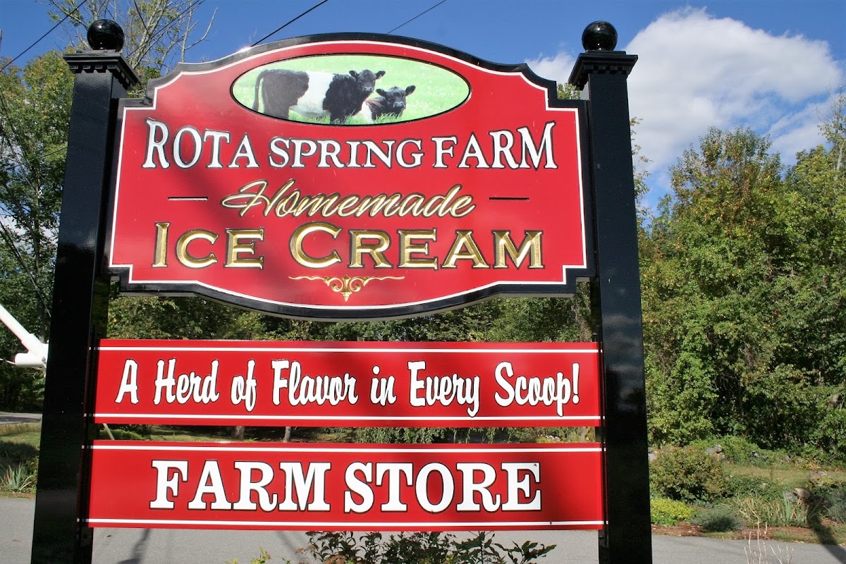 Rota Spring Ice Cream photo from Google