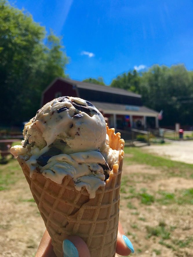 Salem Valley Farms Ice Cream photo from Google