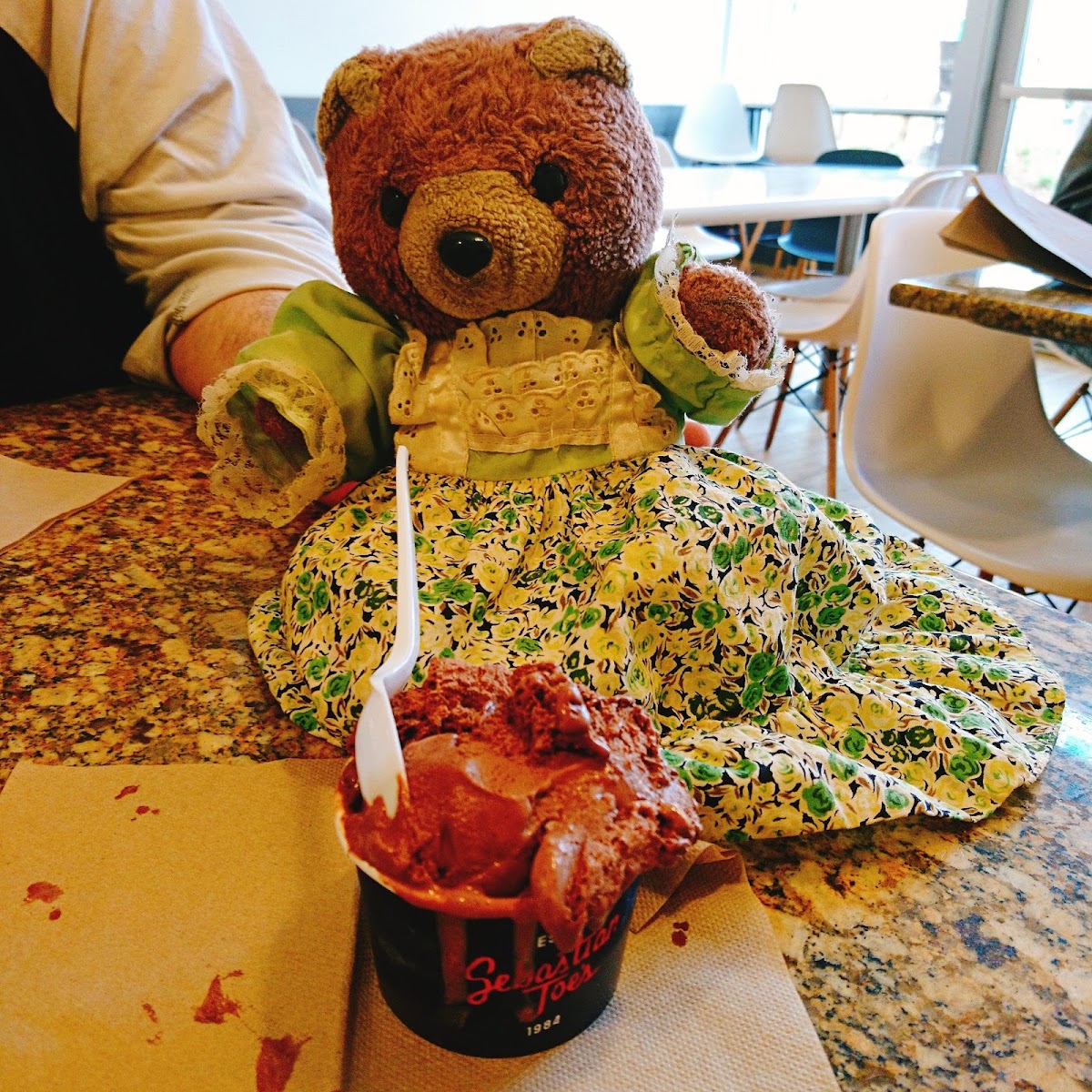 Sebastian Joe's Ice Cream Cafe photo from Google