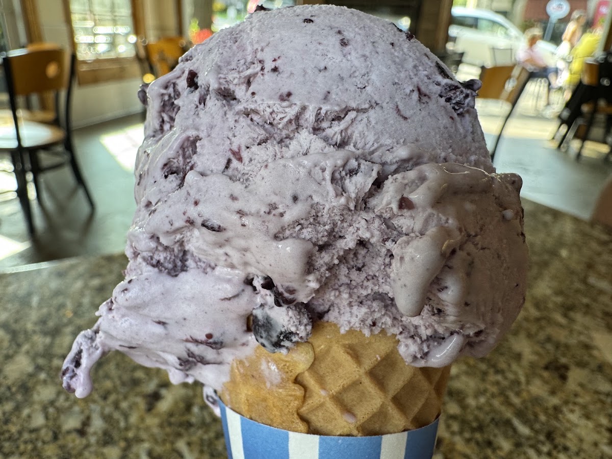 Sebastian Joe's Ice Cream Shop photo from Google