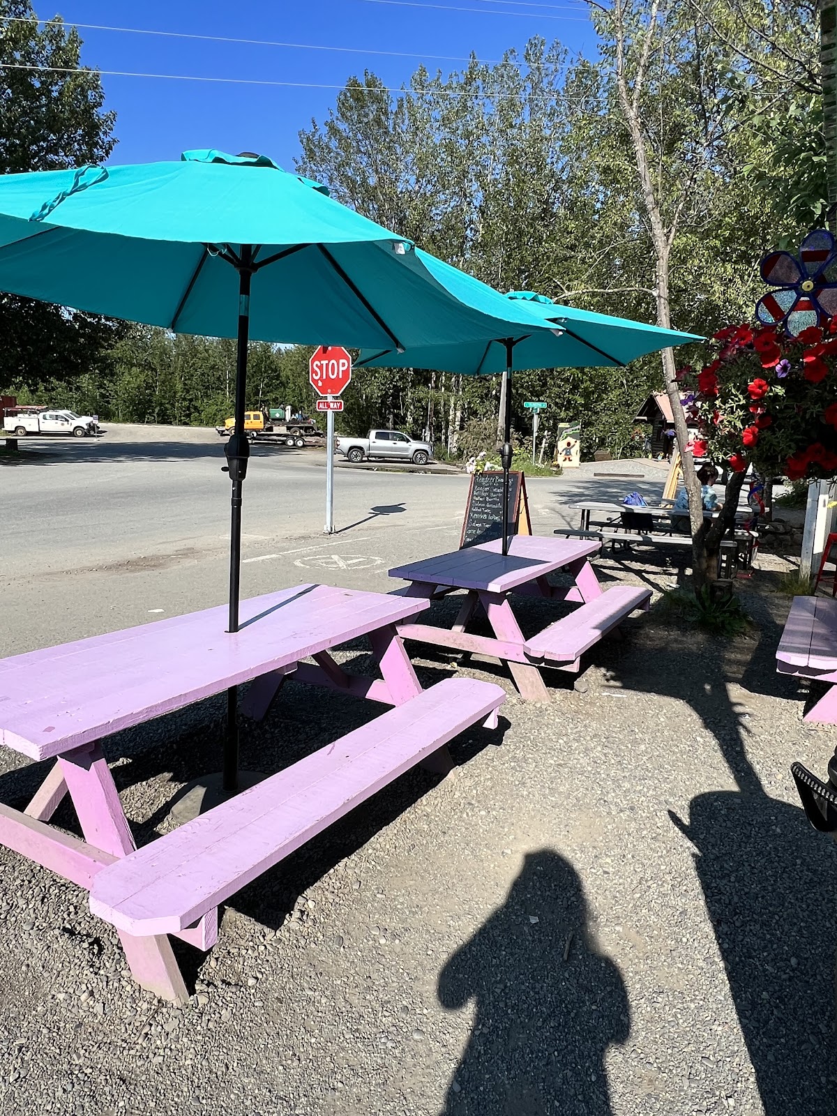 Shirley's Homemade Ice Cream in Talkeetna, AK