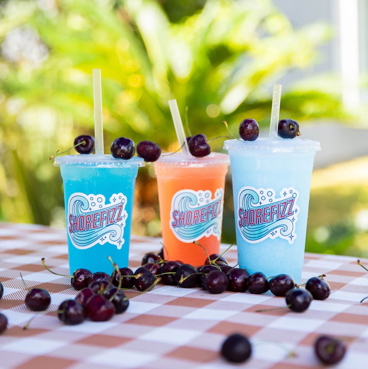 ShoreFizz Soda Shop photo from Google