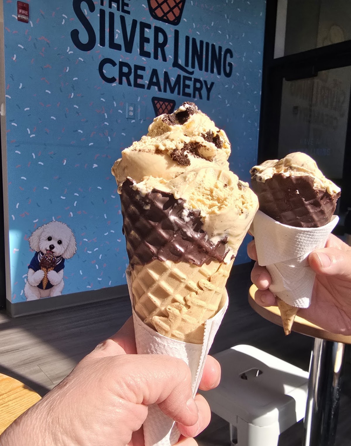 The Silver Lining Creamery photo from Google