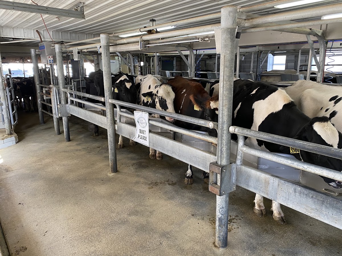 South Mountain Creamery photo from Google