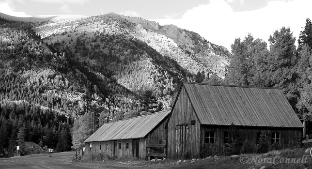 St Elmo General Store Inc in Nathrop, CO