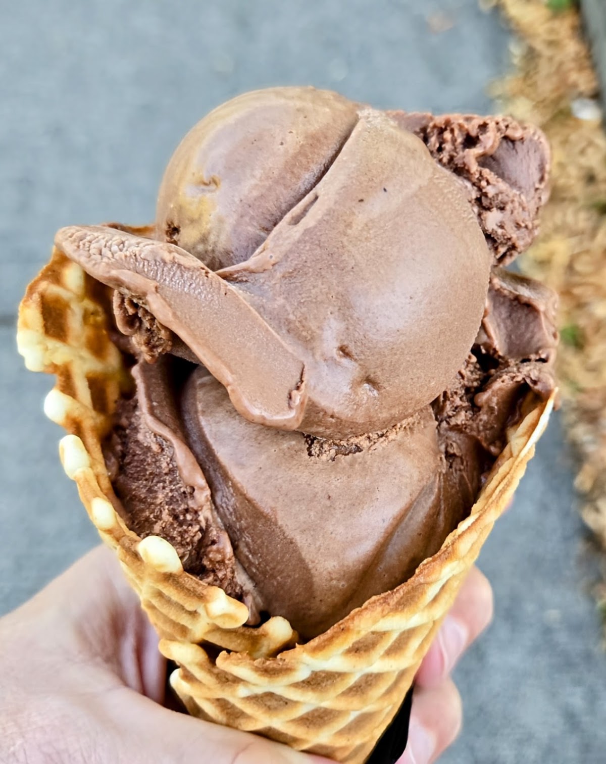 Sugar J's Ice Cream Workshop Corvallis photo from Google