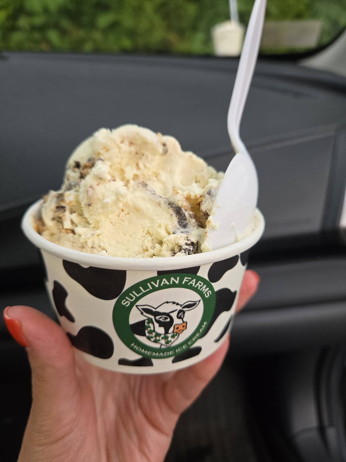 Sullivan Farms Homemade Ice Cream photo from Google