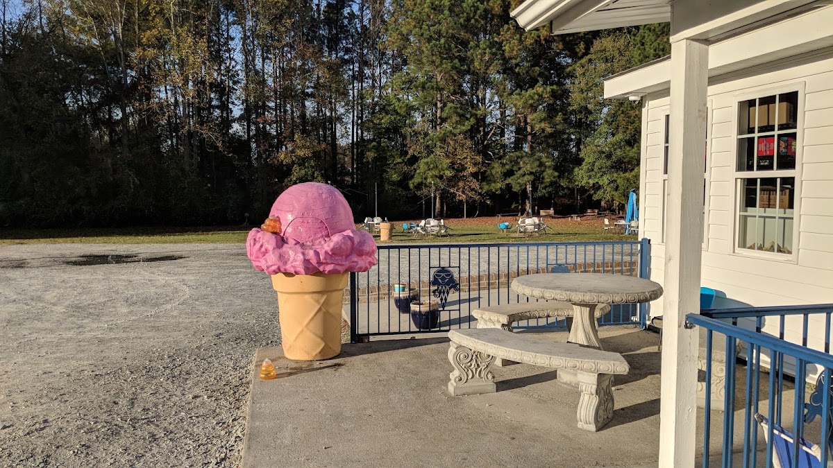 Sunni Sky's Homemade Ice Cream in Angier, NC