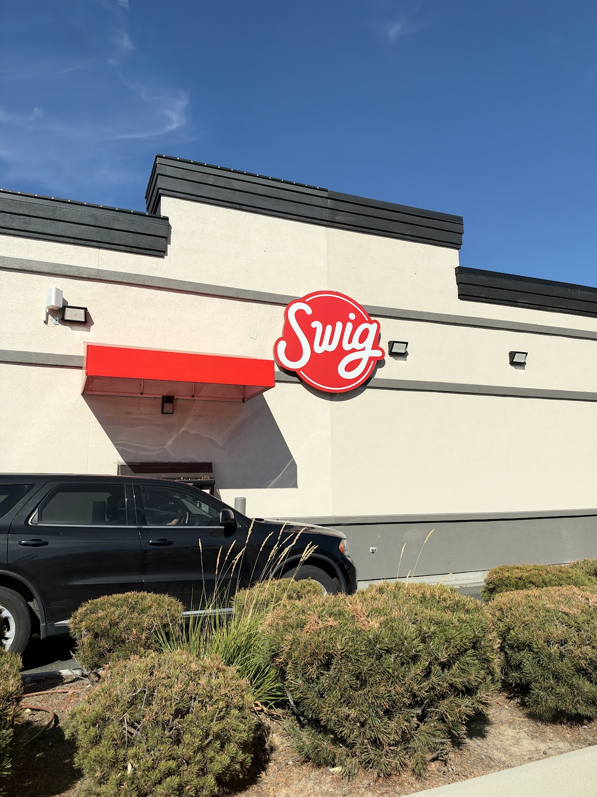 Swig photo from Google