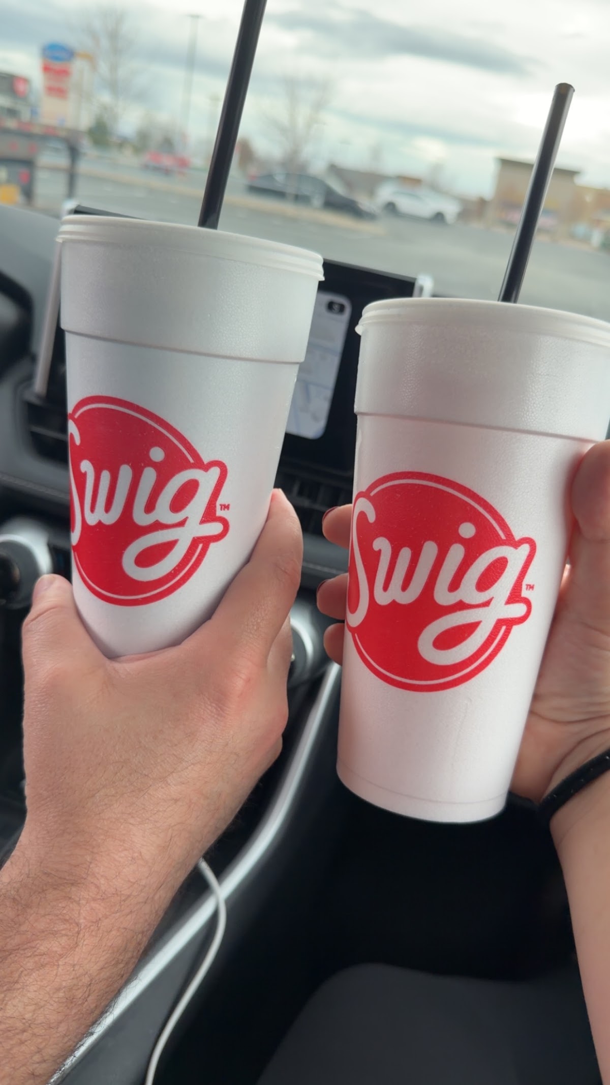 Swig photo from Google