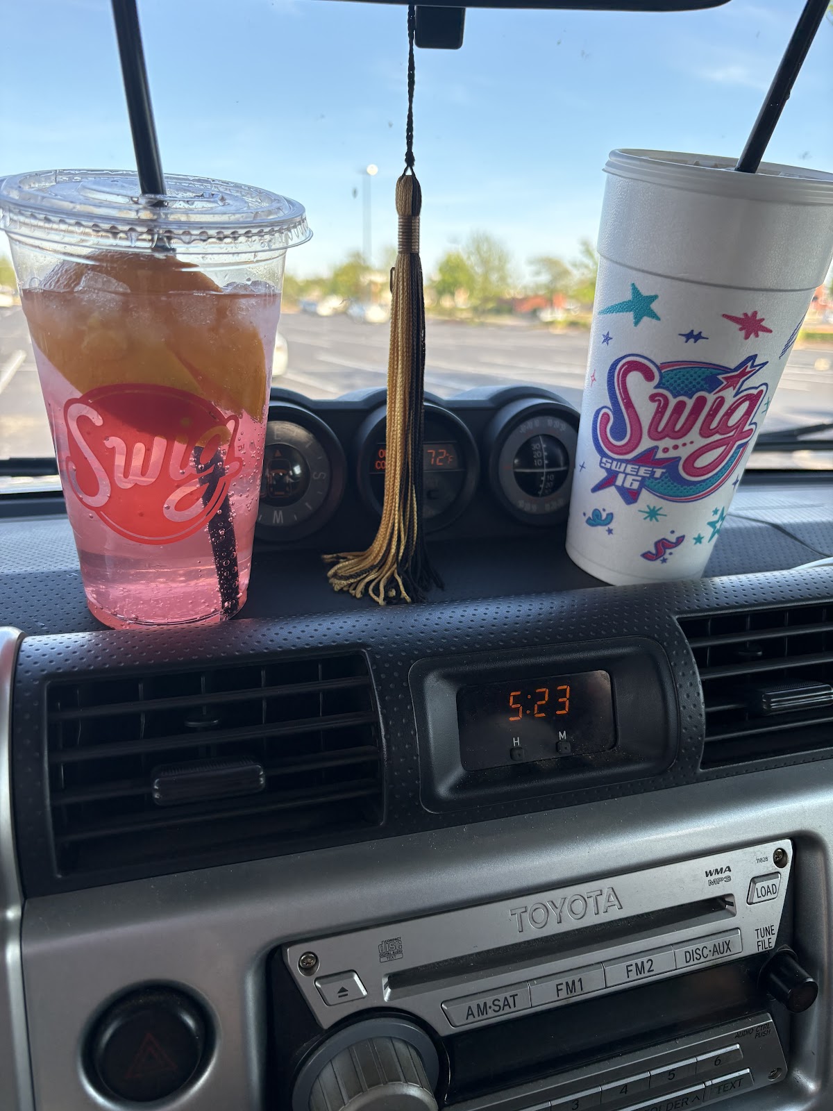 Swig photo from Google