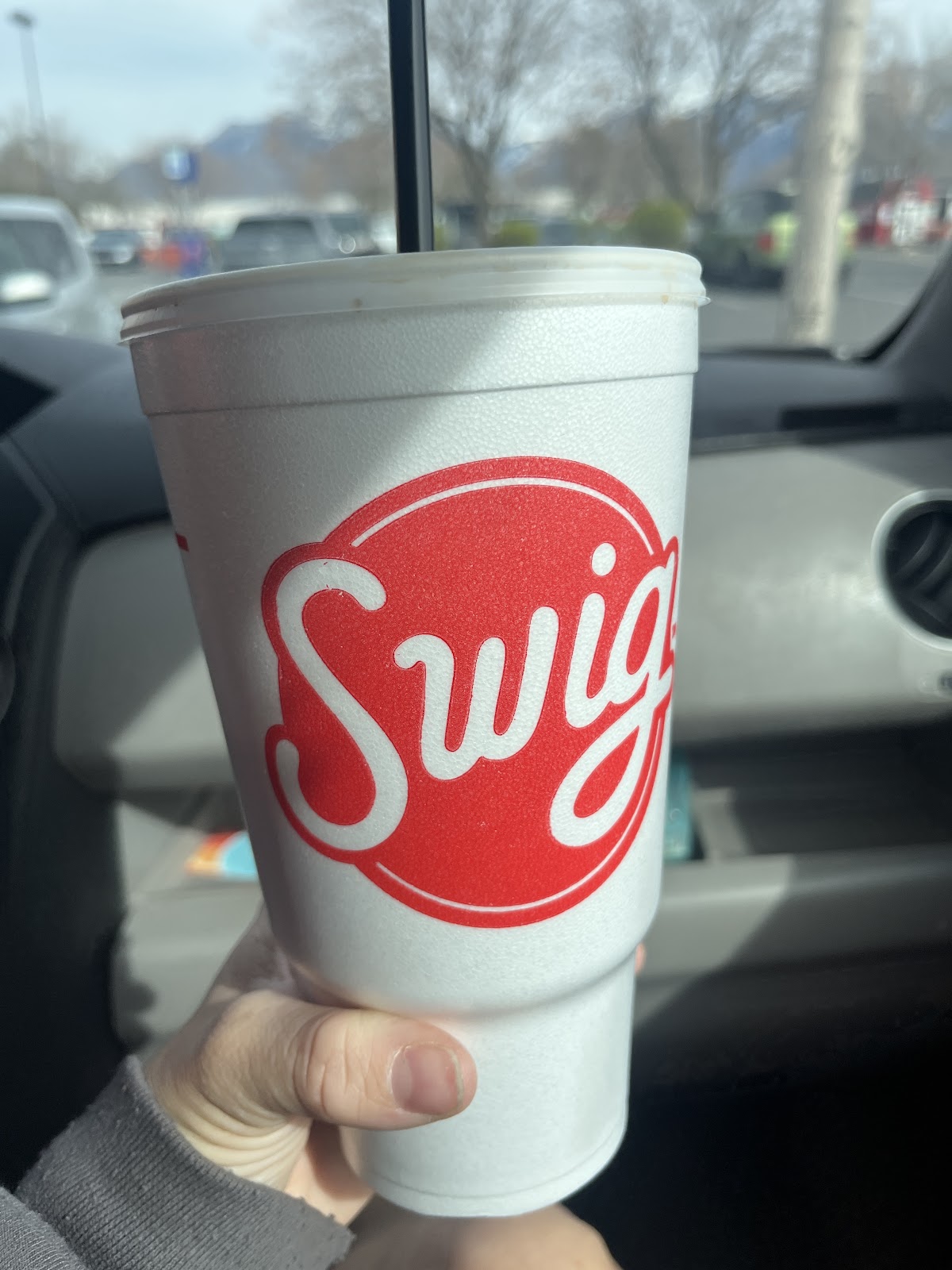 Swig photo from Google