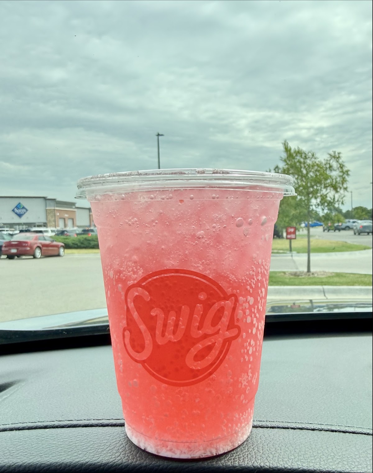 Swig photo from Google