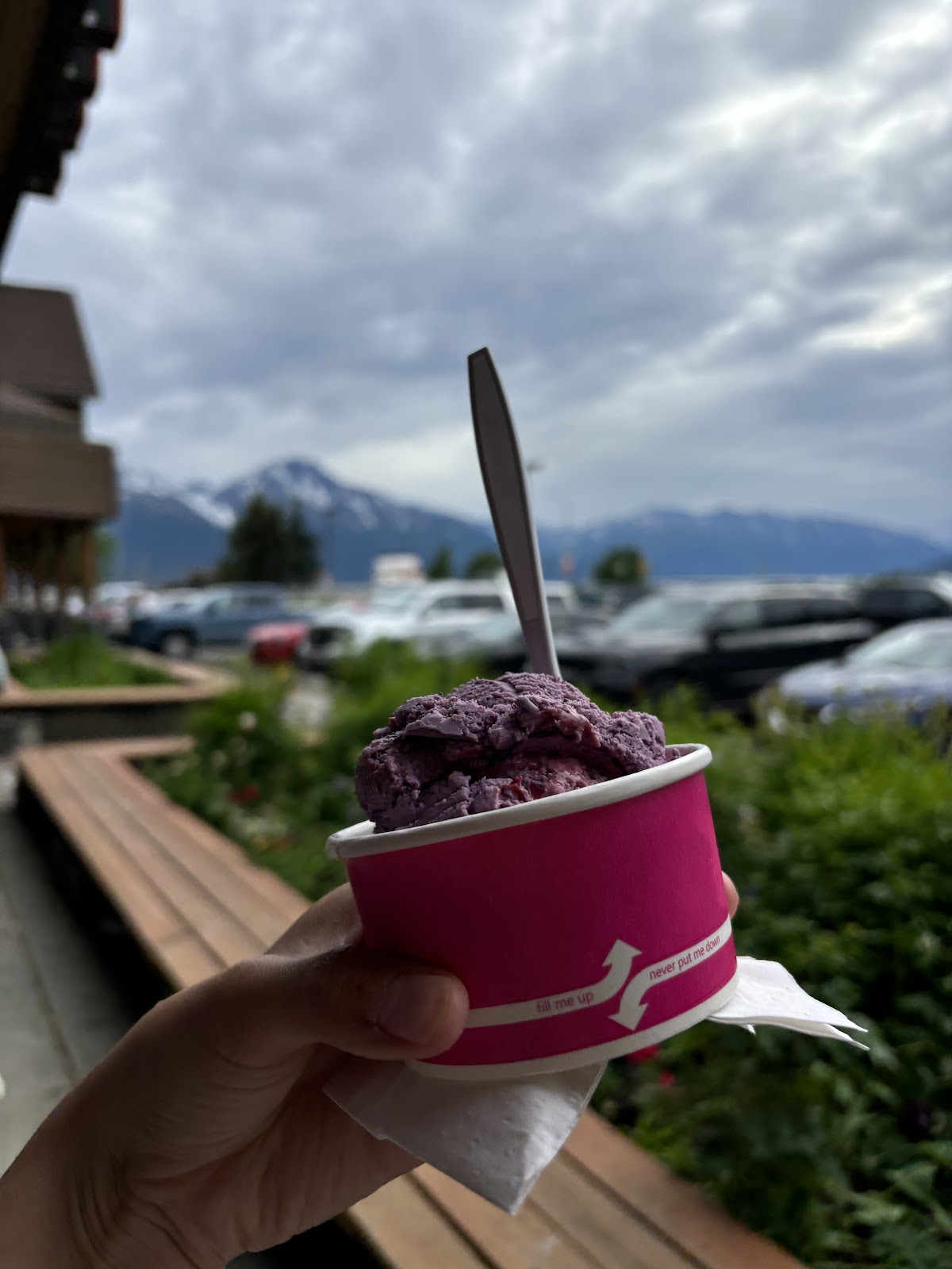 The Ice Cream Shop photo from Google