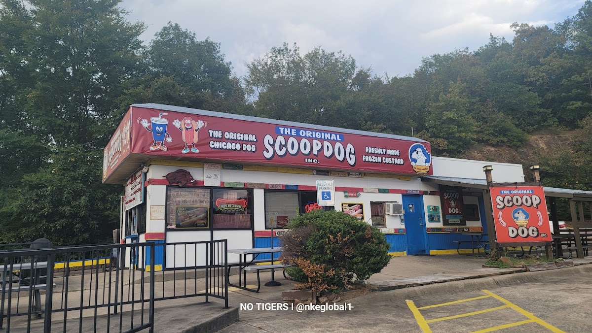 The Original ScoopDog photo from Google