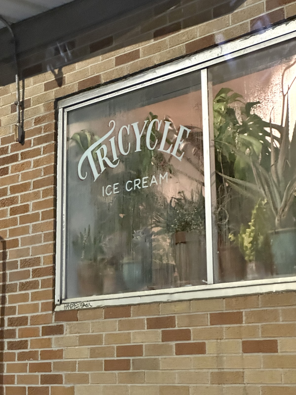 Tricycle Ice Cream photo from Google