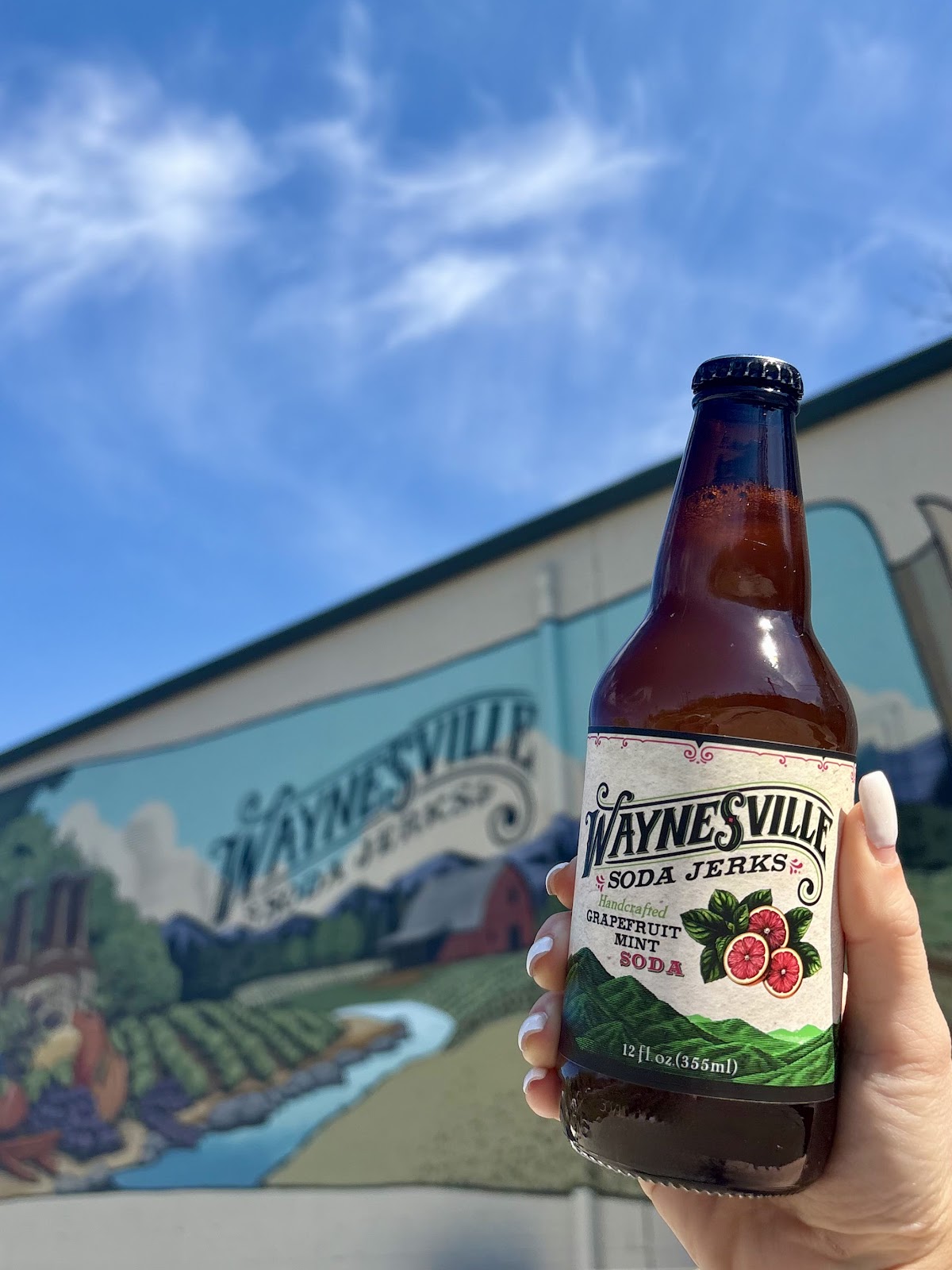 Waynesville Soda Jerks photo from Google