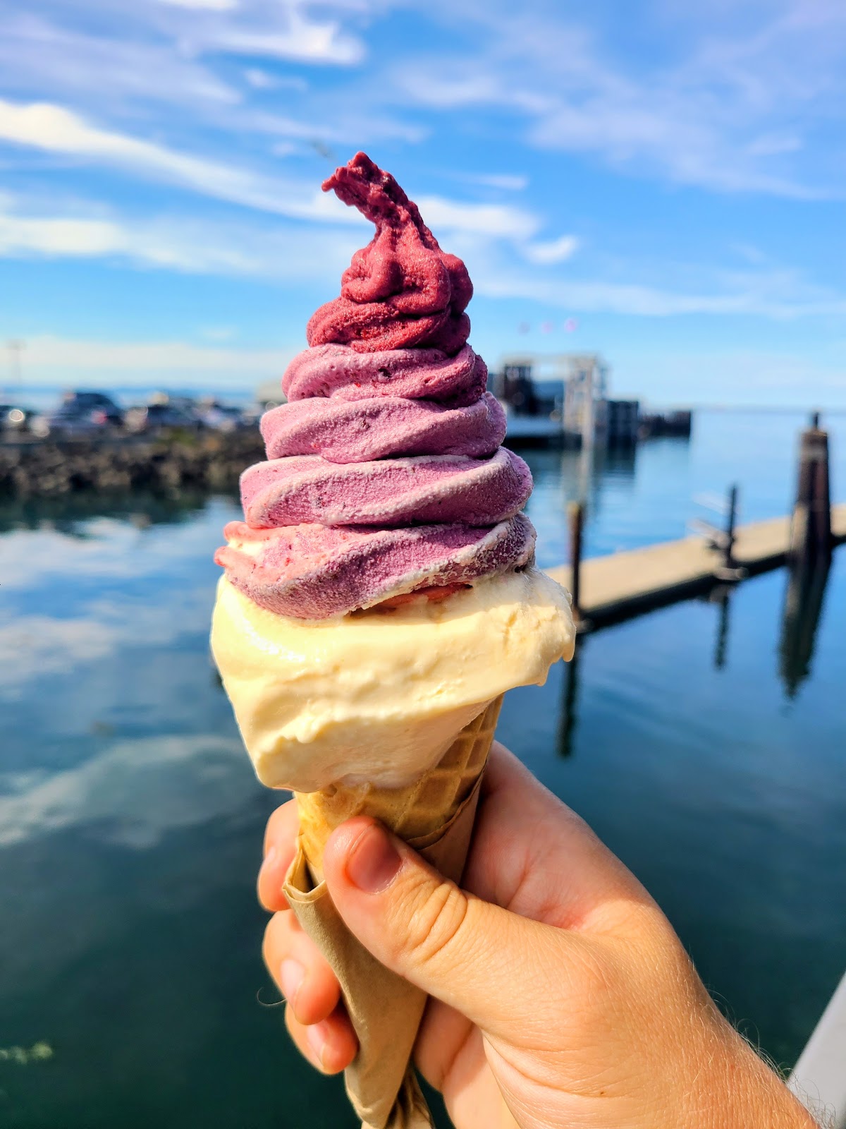 Welly's Real Fruit Ice Cream photo from Google