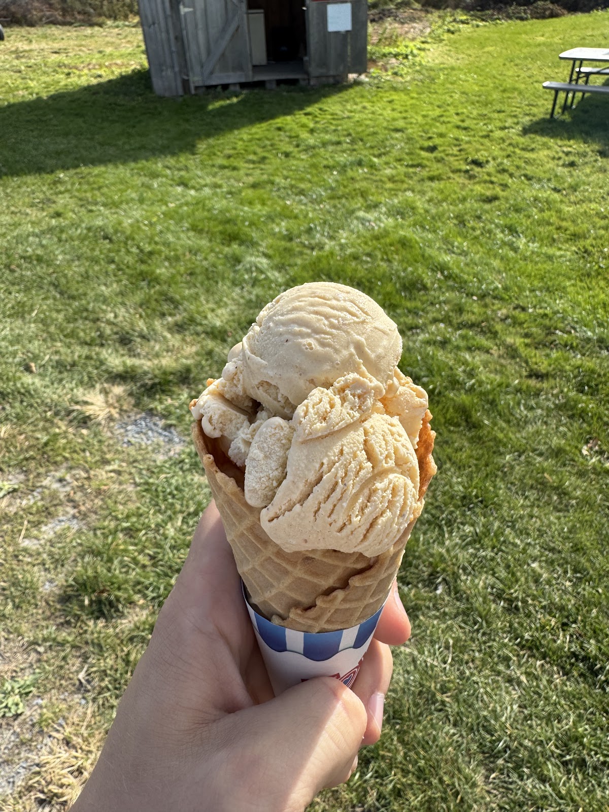 Wilcox Ice Cream Stand photo from Google