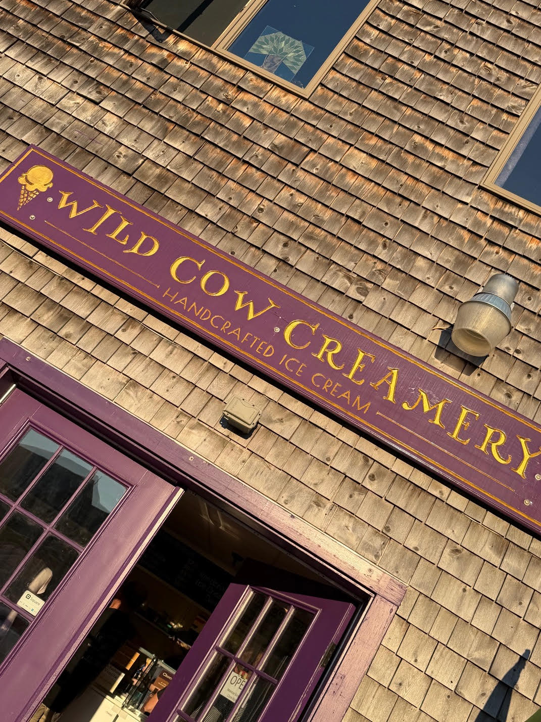 Wild Cow Creamery in Belfast, ME