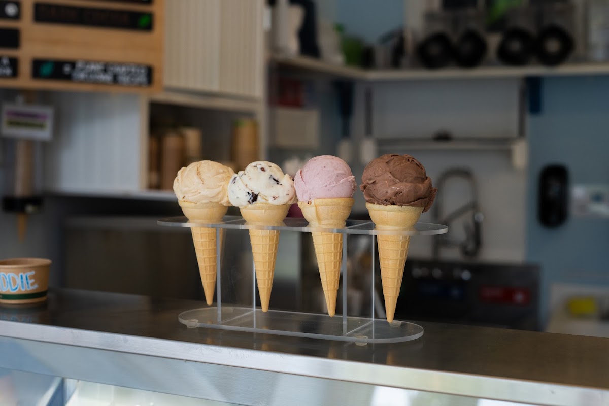 Willard Scoops photo from Google